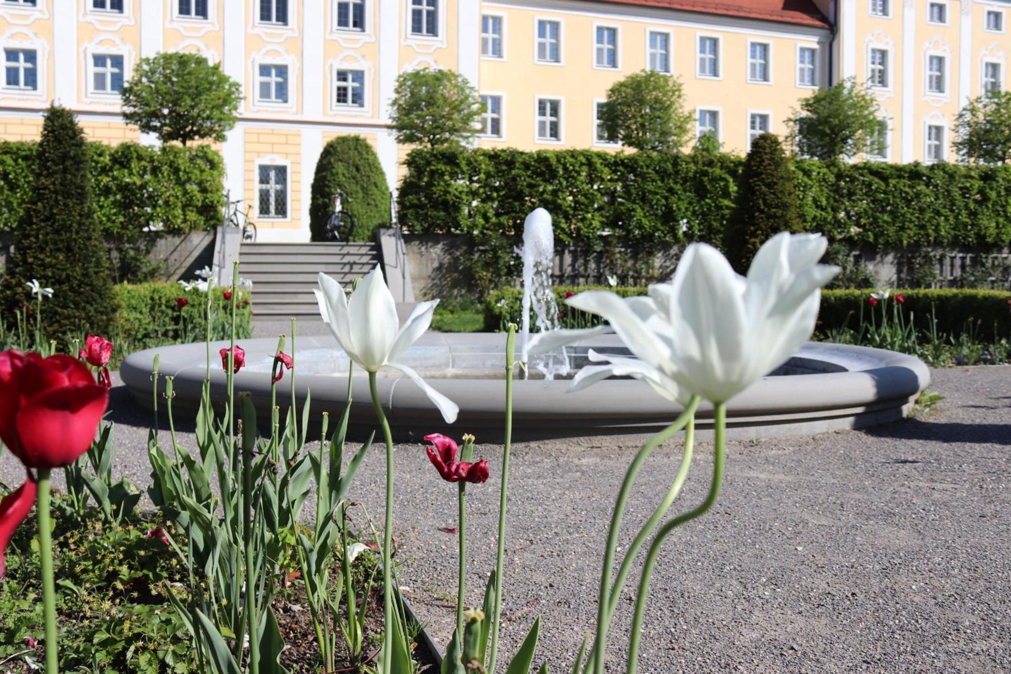 Klostergasthof Roggenburg Eksteriør bilde