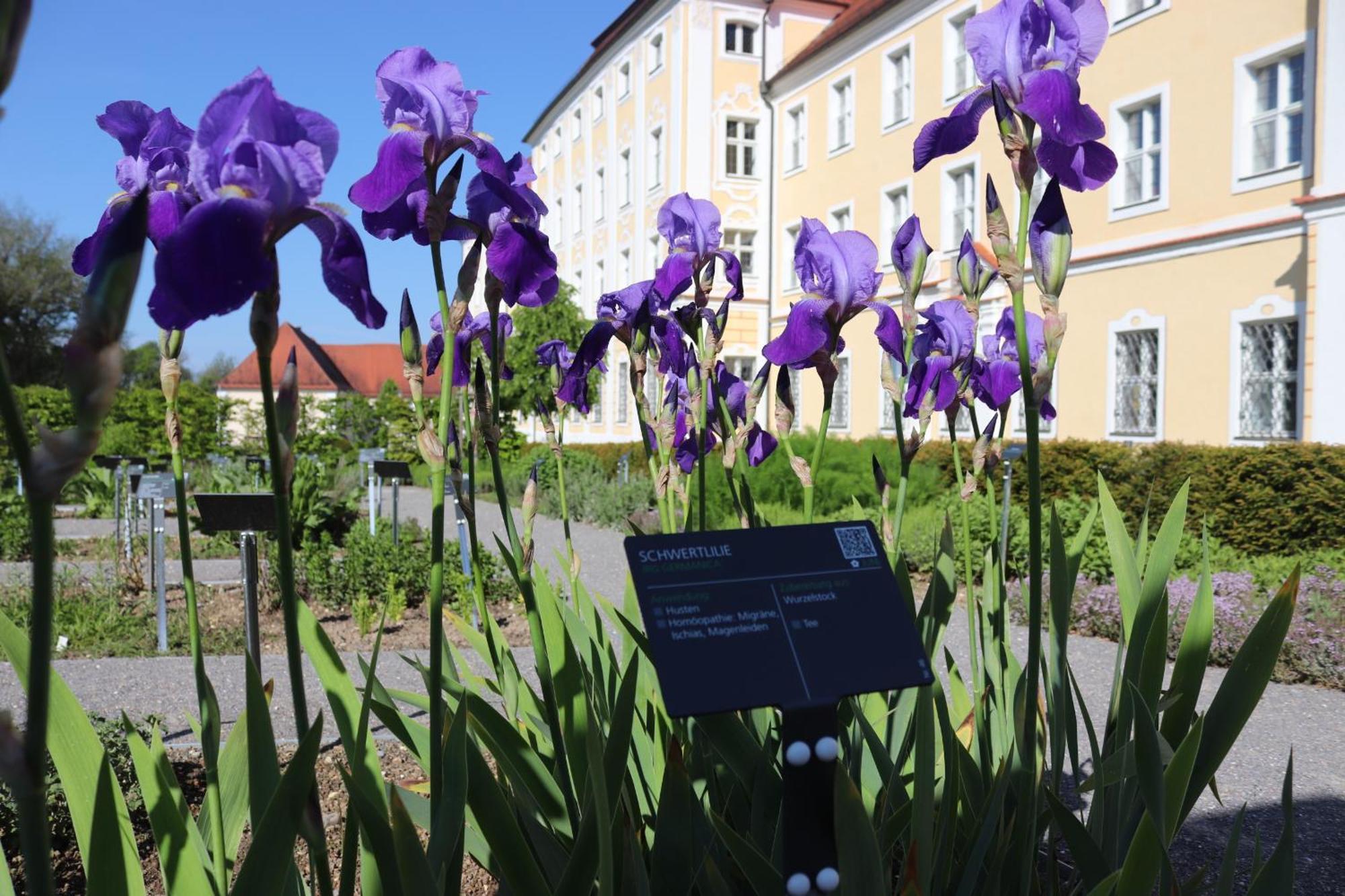Klostergasthof Roggenburg Eksteriør bilde