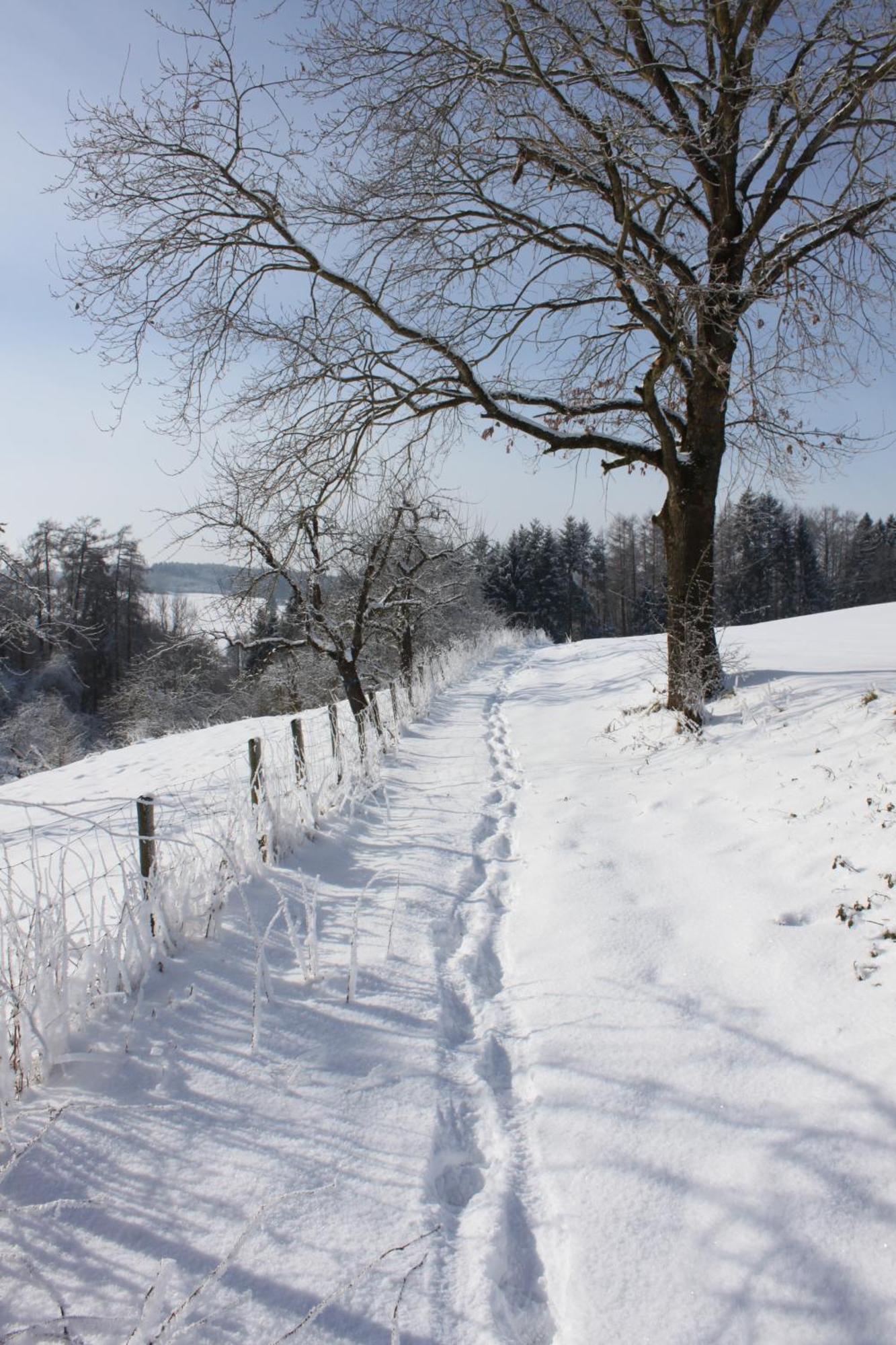 Klostergasthof Roggenburg Eksteriør bilde